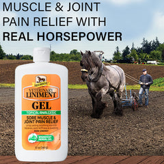 Absorbine gel aplicación en pierna de caballo para masaje y manejo local