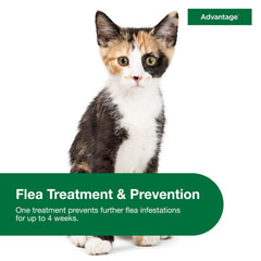 Advantage detalle del líquido para evidenciar fórmula tópica concentrada