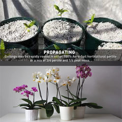 EASYGO PRODUCTS AeroSoil Perlite en maceta demostrando mejor drenaje y crecimiento