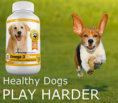 Amazing Nutritionals perro disfrutando el chew bacon sin rechazo