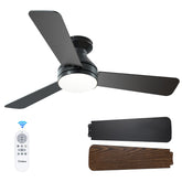 Amico vista frontal del ventilador 42 pulgadas en techo, estética moderna y ahorro