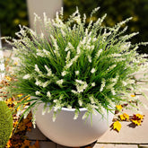 Ammyoo empaque frontal mostrando 12 manojos, ideal para decorar porches