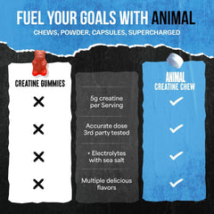 Animal creatine chews mano sosteniendo chews para comparar tamaño fácilmente