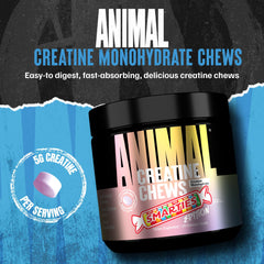 Animal creatine chews primer plano de las tabletas mostrando el tamaño