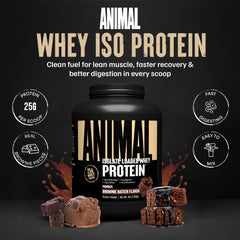 Animal Whey polvo textura en primer plano que facilita mezcla homogénea
