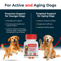 Antinol Plus textura aceitosa de la cápsula para mejor absorción