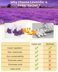 Detalle de virutas de cedro y flores de lavanda de Aryiten mostrando textura natural y aroma
