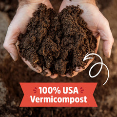 Back to the Roots aplicado en maceta interior para plantas saludables y compactas