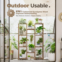 Bamworld shelf detail with mixed pots demonstrating organized multi-pot display benefit