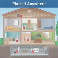 BASEMENT WATCHDOG primer plano de la carcasa y botones para comprobar estado