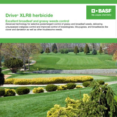BASF Drive XLR8 detalle de la solución concentrada para mezcla rápida
