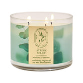 Bath & Body Works front view showing jar and eucalyptus spearmint scent benefits