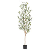 bellacat árbol de olivo frontal mostrando silueta realista y elegancia