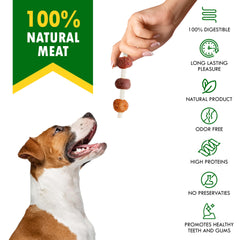 Beloved Pets kabob en mano mostrando escala y tamaño apto para varias razas