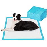 BESTLE front packaging showing 40-count pads and large size for easy selection