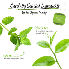 Bigelow tea bag close-up texture and tag showing quality build and filtration
