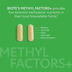 Biote Methyl Factors cápsulas cerca mostrando textura y facilidad de ingestión
