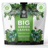 Bless Your Soil envase frontal mostrando el sello y rendimiento