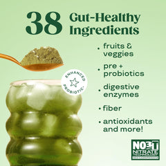 Disposición de ingredientes clave Bloom Nutrition indicando spirulina, chlorella y frutas