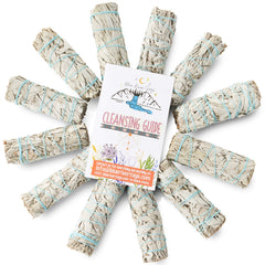 Blue River Sage textura de las hojas de salvia blanca destacando aspecto natural