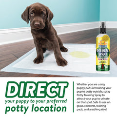 Bodhi Dog spray aplicado sobre almohadilla, ayuda a entrenar cachorros eficazmente