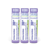 Boiron Arnica Montana front packaging showing three tubes for convenient supply