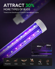 Buzbug rejilla de alta tensión para eliminación rápida de insectos
