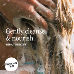 California Naturals textura champú, espuma suave y no irritante