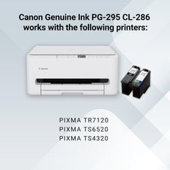 Canon tinta en primer plano mostrando textura, colores más vivos