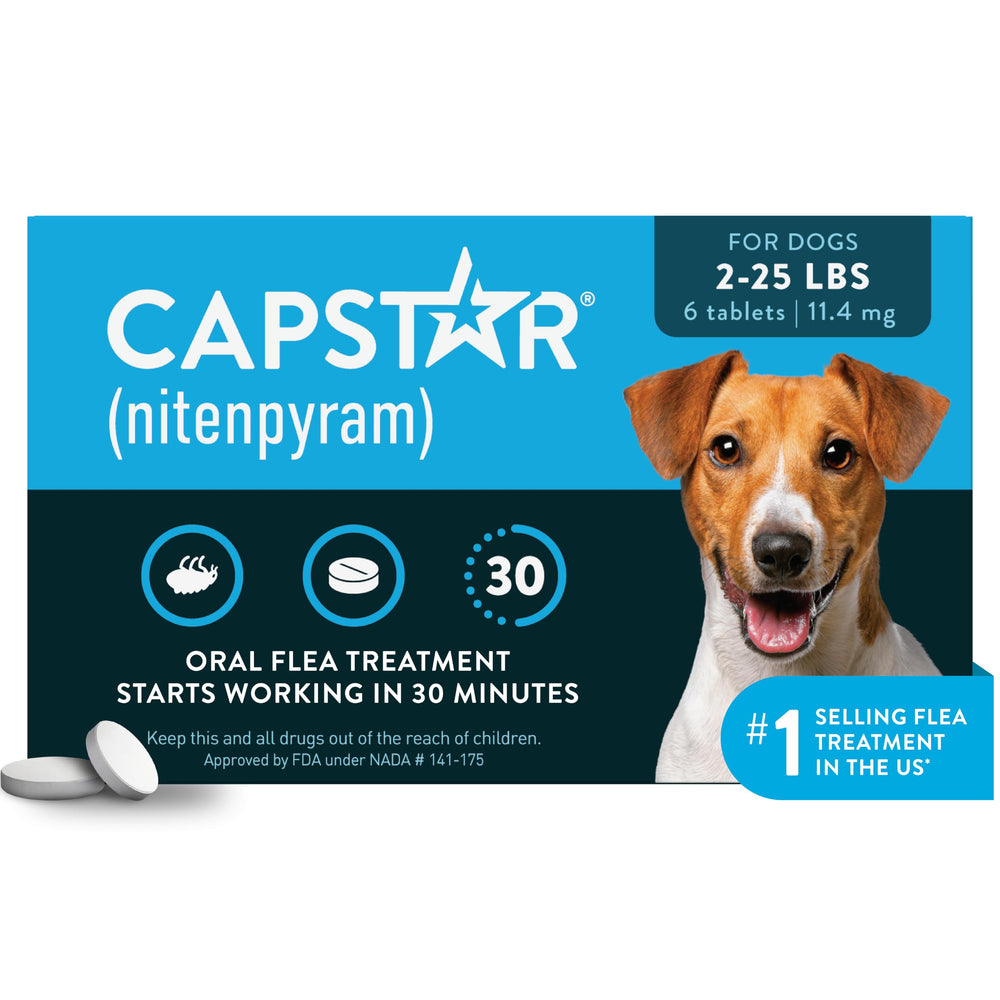 Capstar empaque frontal mostrando dosis y ventajas rápidas