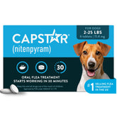 Capstar empaque frontal mostrando dosis y ventajas rápidas
