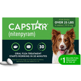 Capstar frente del paquete mostrando dosis y marca, alivio rápido contra pulgas