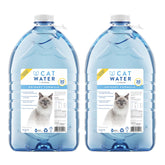 CATWATER by VETWATER vista frontal del envase, opción limpia para hidratación felina