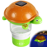 Chsuiwe tortuga frontal mostrando diseño y función decorativa