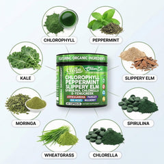 Clean Nutraceuticals cápsulas en mano para comparar tamaño y dosificación