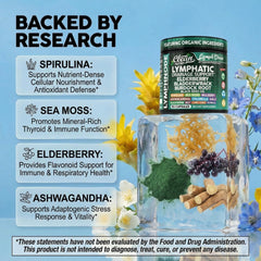 Clean Nutraceuticals textura del polvo de seamoss rica en minerales visibles