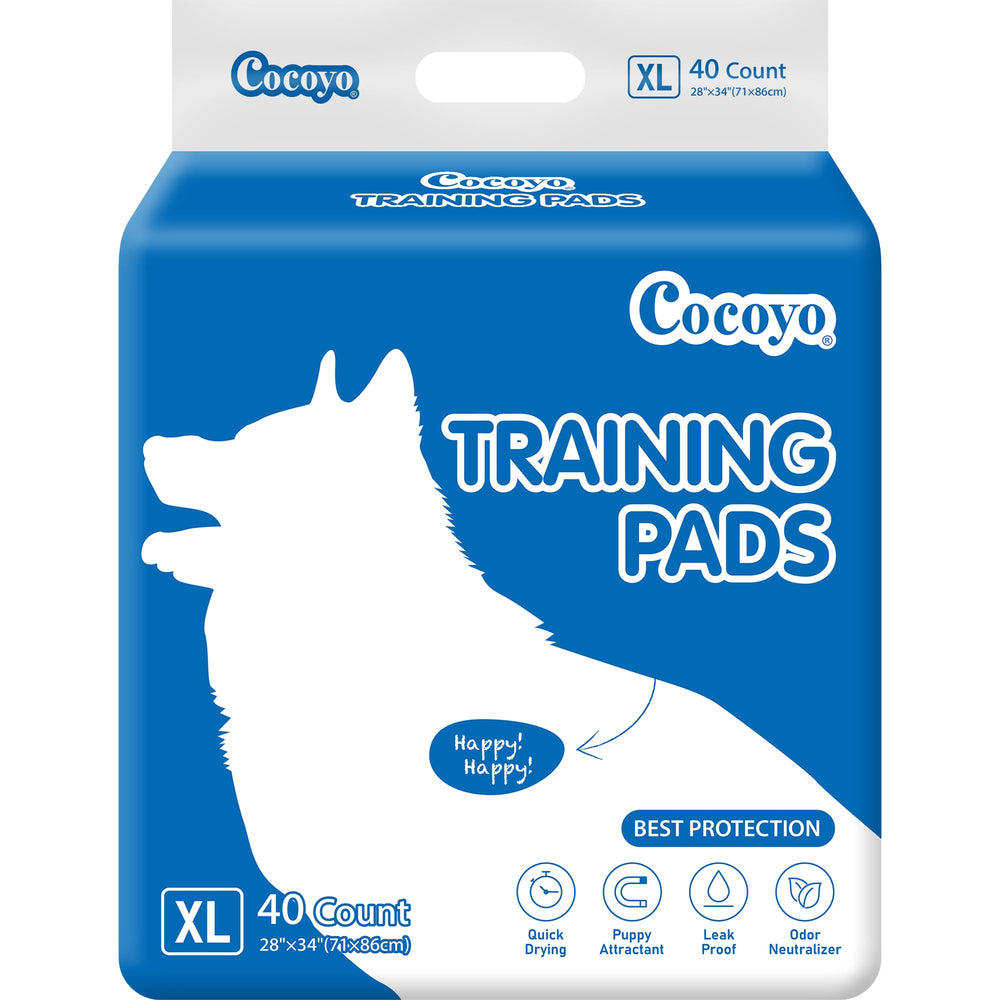 COCOYO paquete frontal mostrando 40 unidades y tamaño XL, protección económica