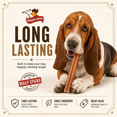 Cowdog Chews palito en mano para mostrar escala, ideal para escoger tamaño