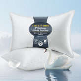 COZSINOOR empaque frontal del juego de almohadas queen mostrando presentación premium