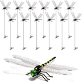 Cushry pack frontal de 12 libélulas 3D mostrando colores realistas y variedad