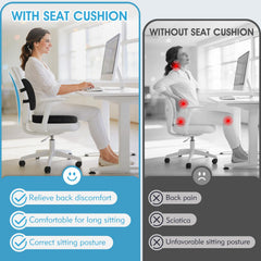 CushZone base antideslizante del cojín, estabilidad en el asiento