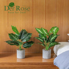 Der Rose planta en escritorio de oficina, mejora ambiente de trabajo
