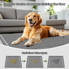 DOGGO DOUG detalle de capas y textura que demuestra absorción rápida