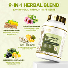 DR. CROWN ingredientes naturales: diente de león y bardana para apoyo depurativo y linfático
