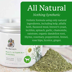 Dr. Harvey's vista cercana del polvo herbal mostrando textura fina nutritiva