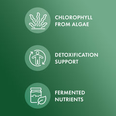 Dr. Mercola etiqueta con información nutricional y garantía de calidad del producto
