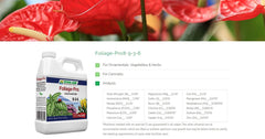 Dyna-Gro Foliage-Pro aplicado al riego mejorando vigor de la planta