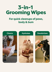 Perro con patas limpias tras usar toallitas Earth Rated después del paseo