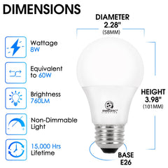 E ENERGETIC LIGHTING close-up of A19 bulb glass and finish for quality