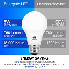 E ENERGETIC LIGHTING bulb lit in table lamp demonstrating warm white ambiance
